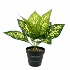 Cây giả để bàn cao 35cm - vạn niên thanh